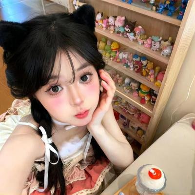 ST红白的搜查档案